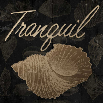 Picture of TRANQUIL SHELL