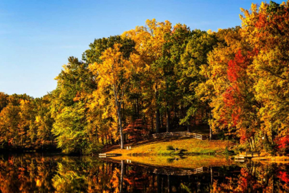 Picture of SERENE LAKE