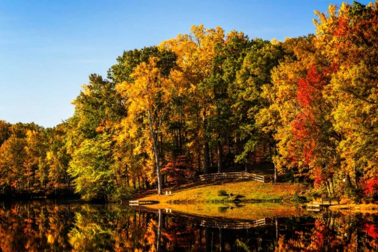 Picture of SERENE LAKE