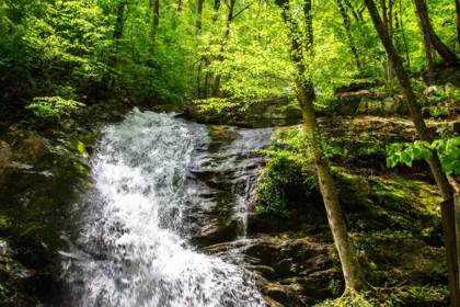 Picture of DEEP WOODS WATERFALL I
