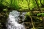 Picture of DEEP WOODS WATERFALL I