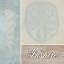 Picture of INSPIRE SHELLS
