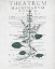 Picture of BOTANICAL 2