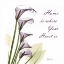 Picture of CALLA LILIES HOME