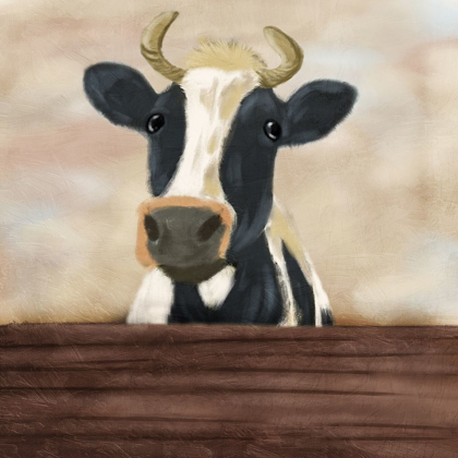 Picture of LONELY COW