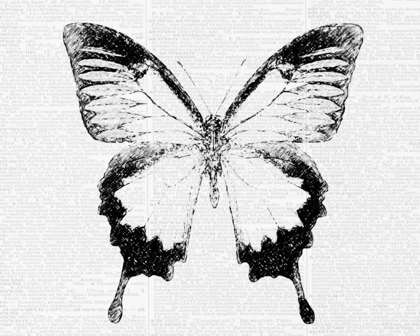 Picture of BUTTERFLY 1
