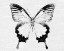 Picture of BUTTERFLY 1
