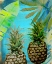 Picture of PINEAPPLE PARTY 2