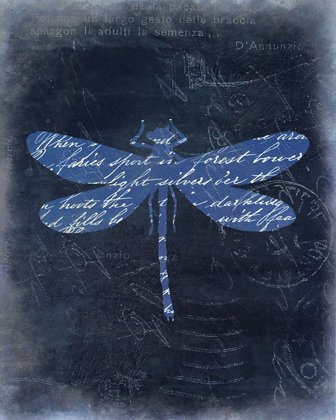 Picture of DRAGONFLY BLUE 2