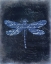 Picture of DRAGONFLY BLUE 2