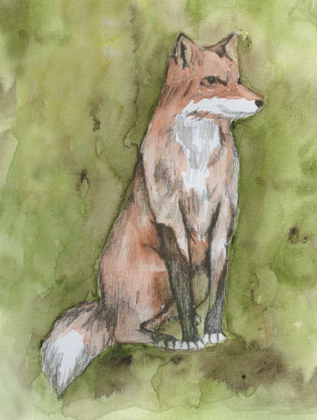 Picture of FANTASTIC FOX
