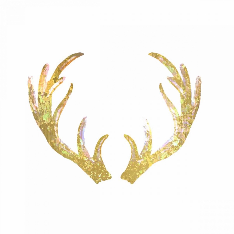 Picture of SPLATTER ANTLER 2