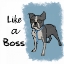 Picture of LIKE A BOSS