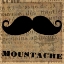 Picture of MOUSTACHE