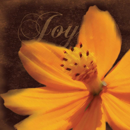 Picture of JOY FLOWER