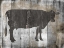 Picture of FRESH LOCAL BEEF