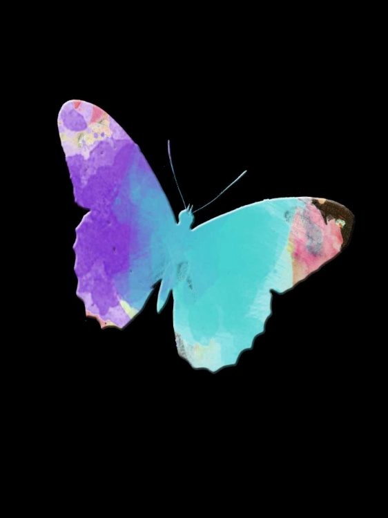 Picture of WATERCOLOR BUTTERFLY