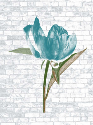 Picture of BLUE BRICK FLORAL
