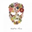 Picture of FLOWERSKULL 2