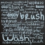 Picture of BATHROOM WORDS B1