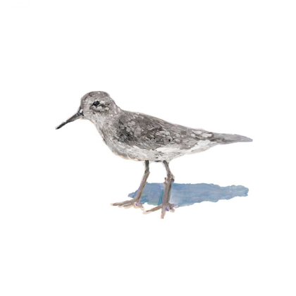 Picture of SANDPIPER ON WHITE II