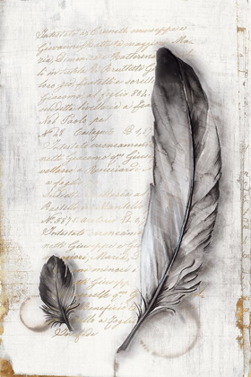 Picture of VINTAGE FEATHERS II 
