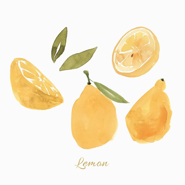 Picture of FRESH LEMONS