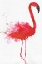 Picture of FLAMINGO PORTRAIT II