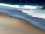 Picture of WEST COAST SHORE