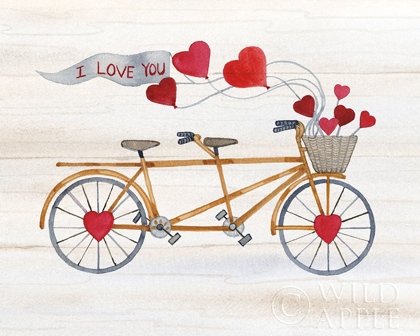 Picture of RUSTIC VALENTINE BICYCLE