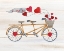 Picture of RUSTIC VALENTINE BICYCLE