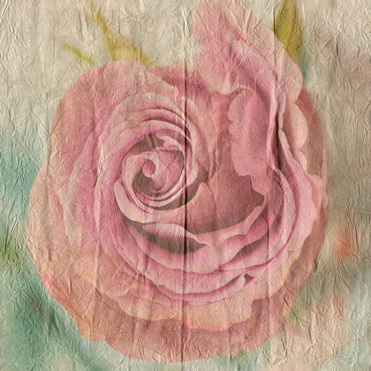 Picture of VINTAGE ROSE