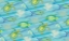 Picture of SEALIFE RECTANGLE I