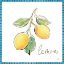 Picture of MEDITERRANEAN BREEZE XIV