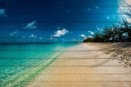 Picture of CAYMAN ISLANDS BEACH ON WOOD