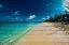 Picture of CAYMAN ISLANDS BEACH ON WOOD