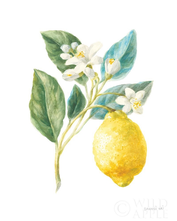 Picture of FLOURSACK LEMON I ON WHITE