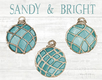 Picture of COASTAL HOLIDAY ORNAMENT VIII SANDY AND BRIGHT