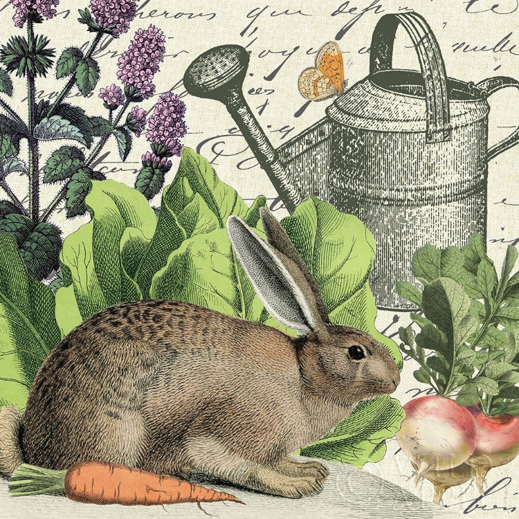 Picture of GARDEN RABBIT I