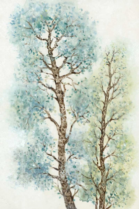 Picture of TRANQUIL TREE TOPS I