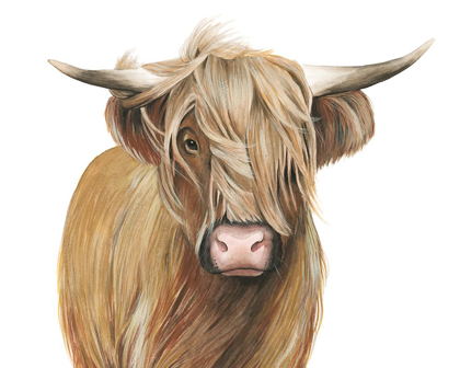 Picture of HIGHLAND CATTLE I