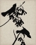 Picture of AUDUBON SILHOUETTE VI