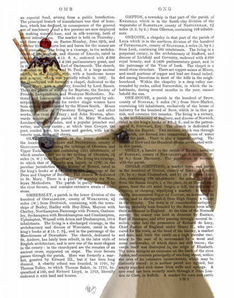 Picture of GREYHOUND, TAN, ICE CREAM
