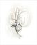 Picture of NEUTRAL FLORAL GESTURE II