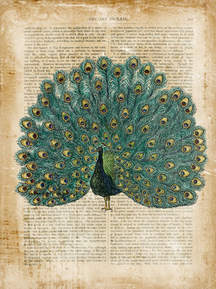 Picture of ANTIQUARIAN BIRDS V