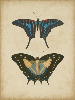 Picture of ANTIQUE BUTTERFLY PAIR III