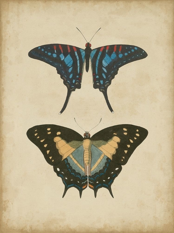 Picture of ANTIQUE BUTTERFLY PAIR III
