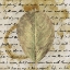Picture of EARTH LEAF II