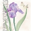 Picture of FLOWERS AND LACE III