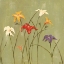 Picture of JEWELED LILIES I